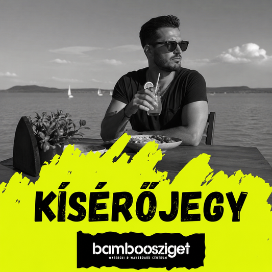 Kísérőjegy